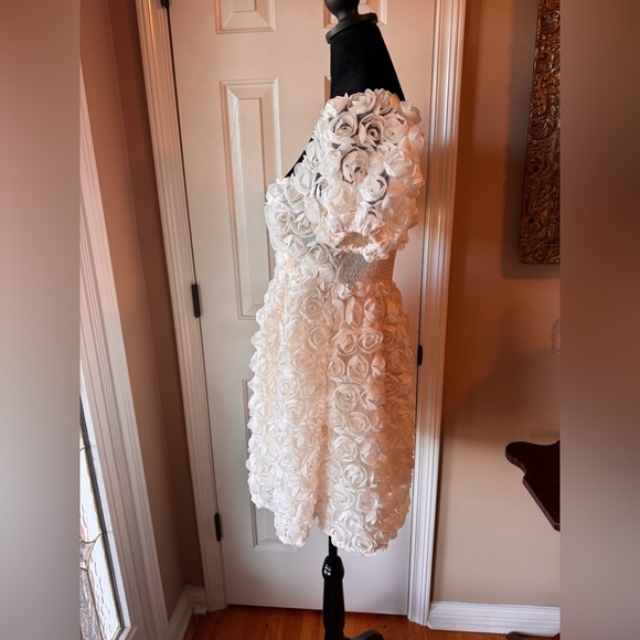 Altar'd State Cream Rosette Mini Dress - Picture 10 of 10